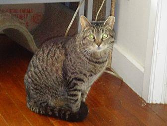 Rusty Purrin (17820175)