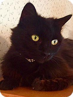 Sabrina (18330976)