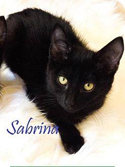 Sabrina (18466904)