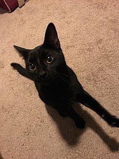 Sabrina (20152756)