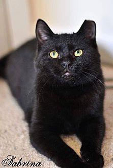 Sabrina (20524249)