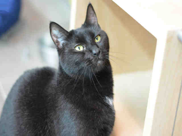 SABRINA (A1935461)