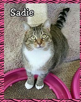 Sadie (12850756)