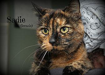 Sadie (19769724)