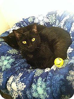 Salem (10024169)