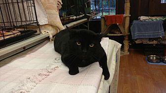 Salem (19302068)