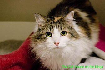 Sallie (20424418)