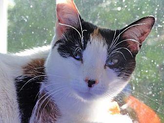 Sally (12064864)