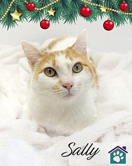 SALLY (20472247)