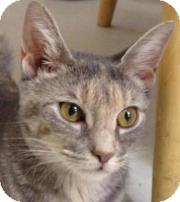 Sally (7929087)