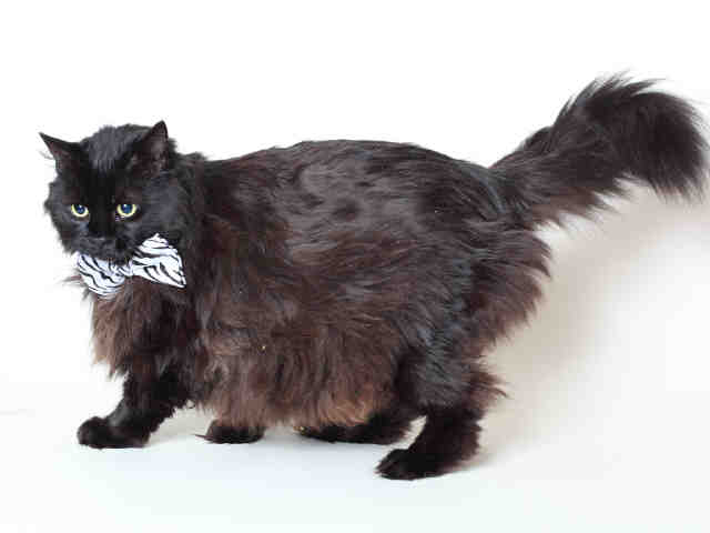 SALLY (A119467)