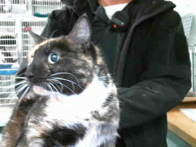 SALLY (A132578)