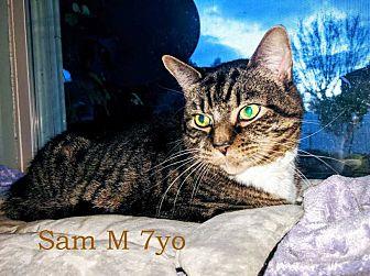 Sam (20009695)