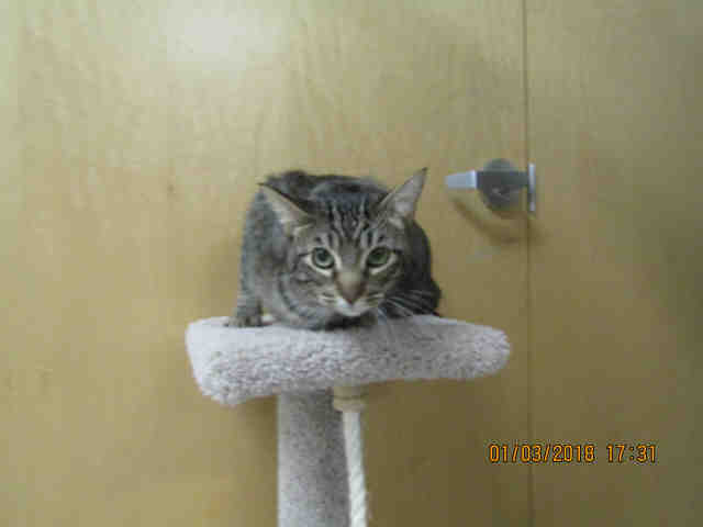 SAM (A040916)