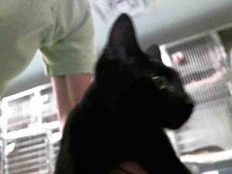 SAMANTHA (20142896)