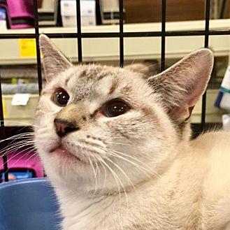 Sammie (20158534)