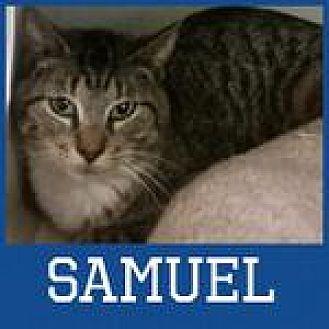 Samuel (19714337)