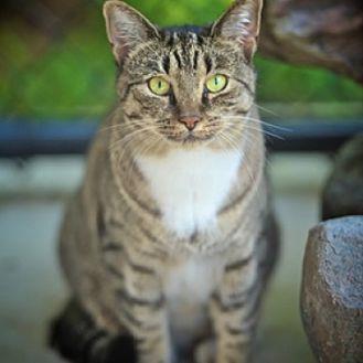Sandy (18717061)