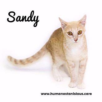 SANDY (19989113)