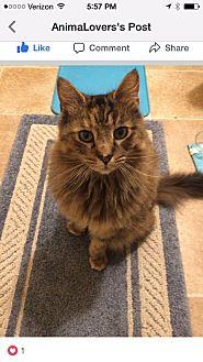 Sandy (20131910)