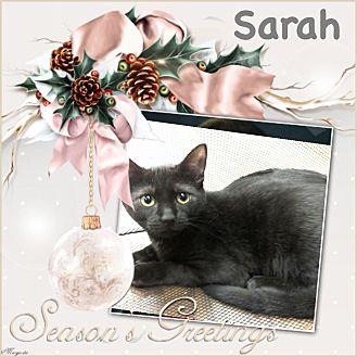 Sarah (20295307)