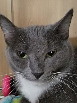 Sasha (16355541)