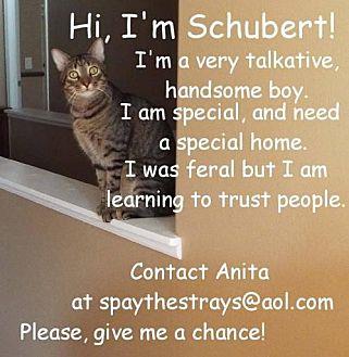 Schubert (12537460)