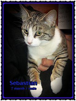 Sebastian (20457051)