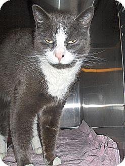 Sebastian (8747288)