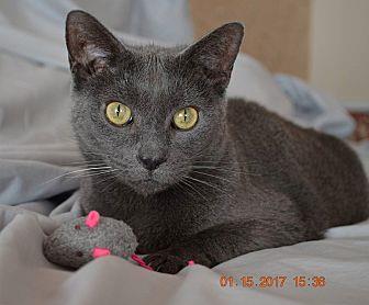 Sheba & Rafa (17286833)