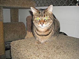 Sheldon (20077610)