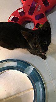 Sidney (20460788)