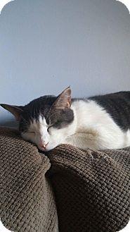 Sigmund (18280343)