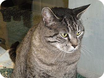 Simba Sue (9243042)