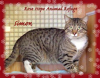 Simon (20398635)
