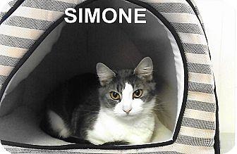 Simone (17701154)