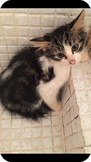 Sinbad (14734509)