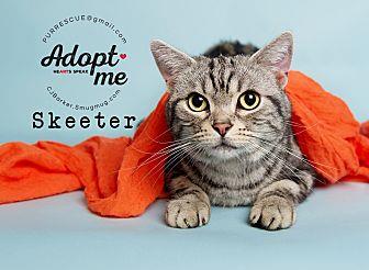 Skeeter (18918651)