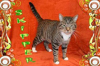 Skipper (13882349)
