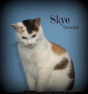Skye (16952889)
