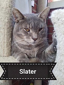 Slater (19705418)