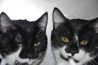 Smiley and P (12643977)