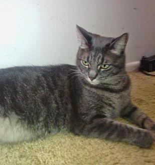 Smokey (12838598)