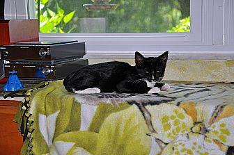Smudge (18975663)