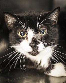 Smudge (19477893)