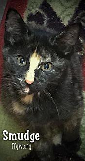 Smudge (20241906)