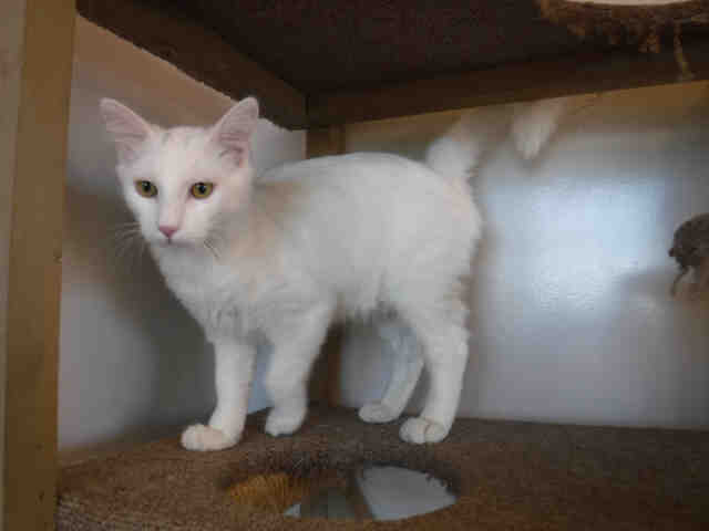 *SMUDGE* (A133189)