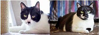 Smudge And C (18433441)