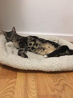 Snuggle Dump (19788915)