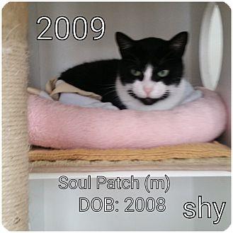 Sole Patch (16552277)